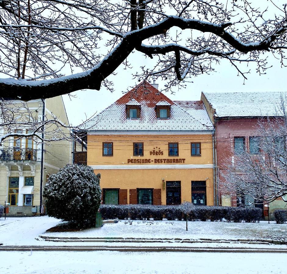 Voeroes Guest House Tîrgu Secuiesc Eksteriør bilde